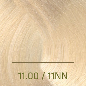 High Lift Series (11NN-12VVA)
